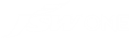 JSW. Logo